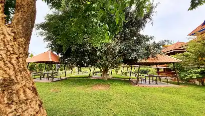 Homestays in Masinagudi