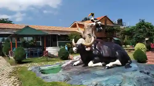 Dormitory in Masinagudi